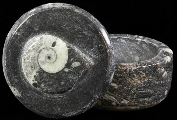 Small Fossil Goniatite Jar (Black) - Stoneware #66573